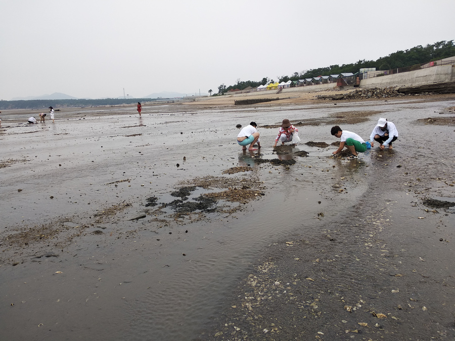 大连金沙岛旅游攻略